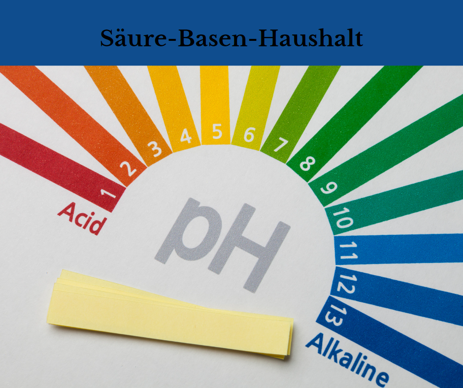 Titel: Säure-Basen-Haushalt. Tabelle von sauer mit wert von 1 bis Alkalin mit wert von 13.