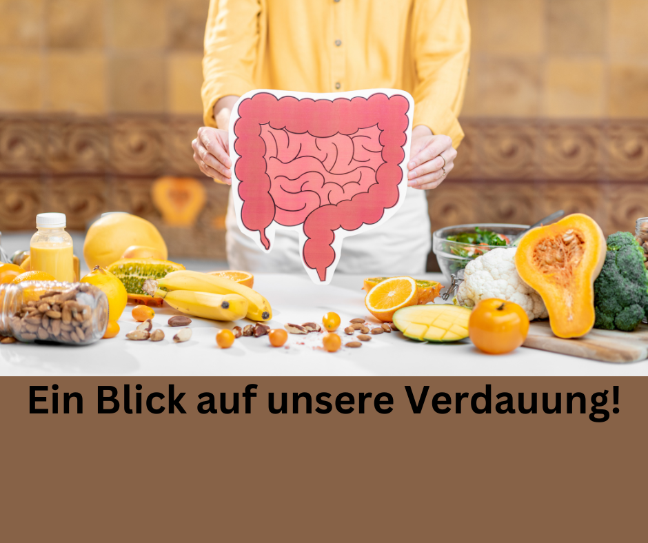 Ein Blick auf unsere Verdauung. Tisch mit verschieden Lebensmittel.
