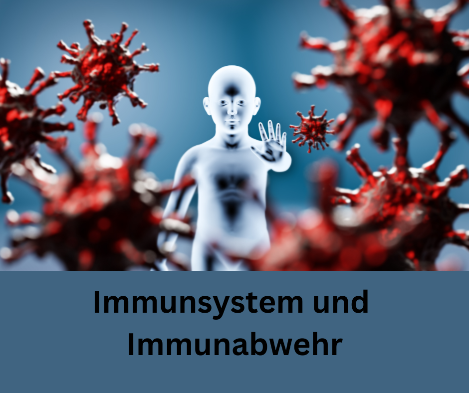 Ein Avatar streckt den Arm um sich von Viren zu schützen. Schriftzug Immunsystem und Immunabwehr.