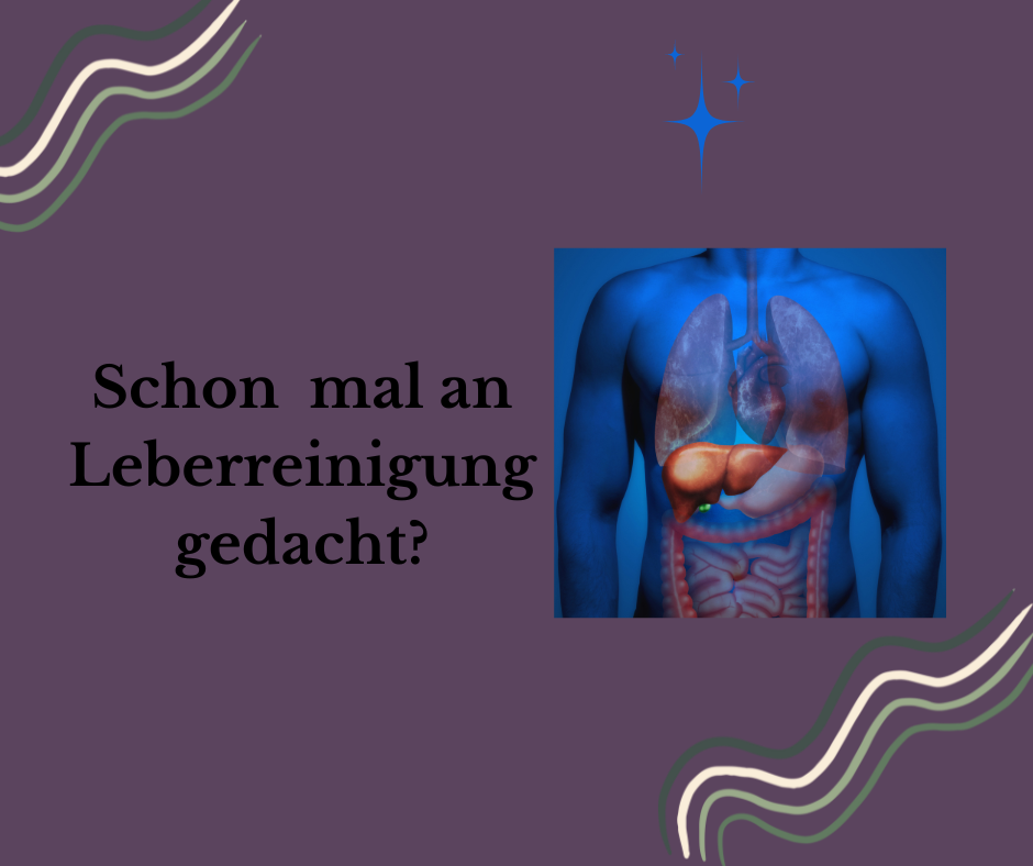 Ein Körper in dem die Leber zu sehen ist, es geht um Leberreinigung
