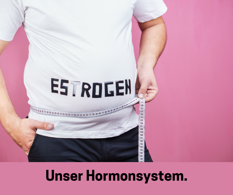 Mann mit dicken Bauch. Schriftzug: Unser Hormonsystem.