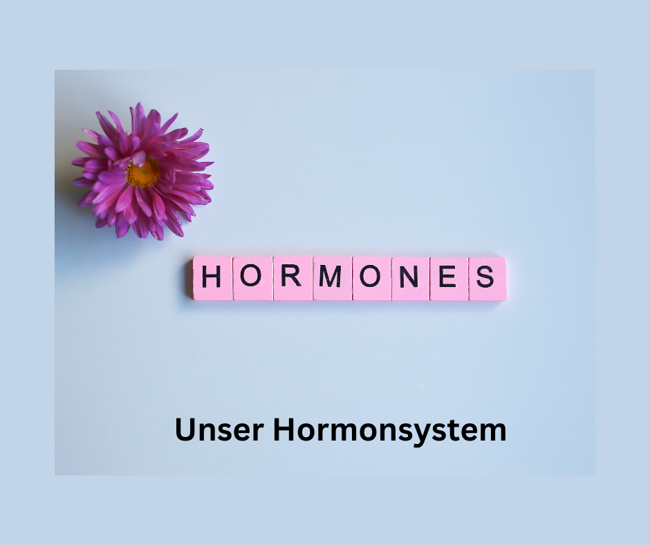 Blauen Hintergrund mit der Schrift Hormones und Unser Hormonsystem.