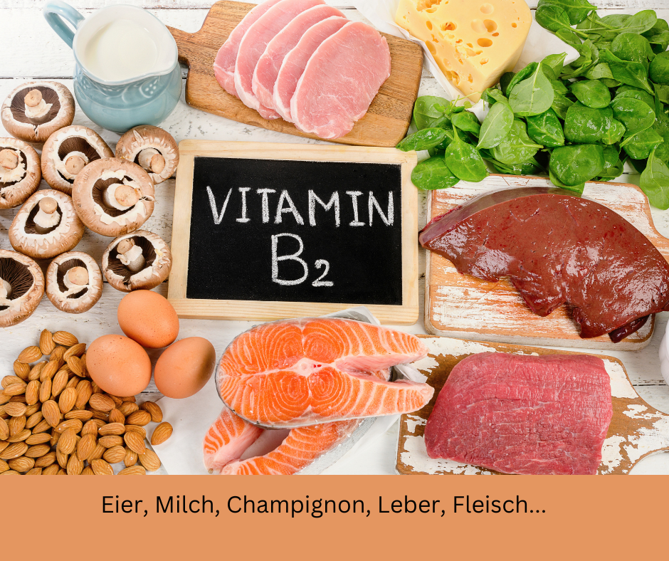 Vitamin B2 oder Riboflavin reiche Lebensmittel.