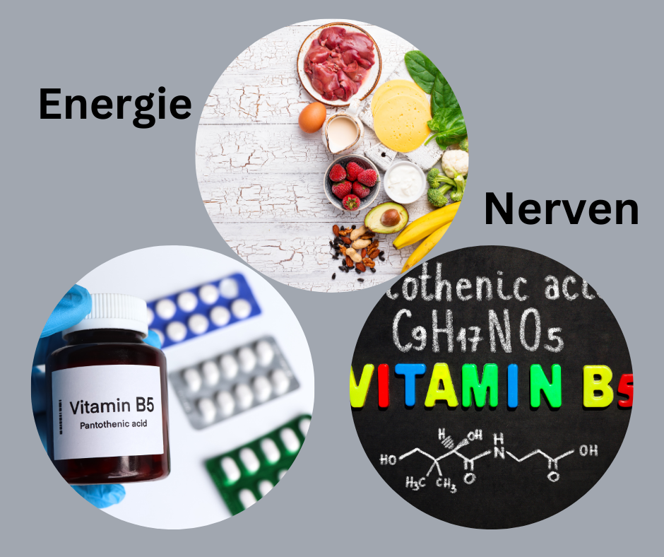 
 Vitamin B5, Pantothensäure Lebensmitte und Tabletten