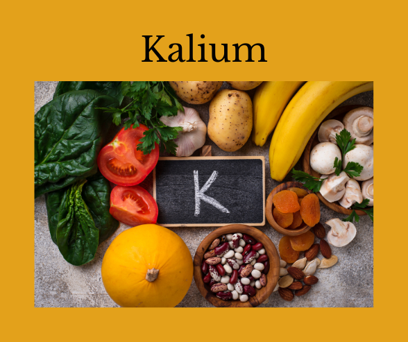 Kalium: Kaliumreiche Lebensmittel.