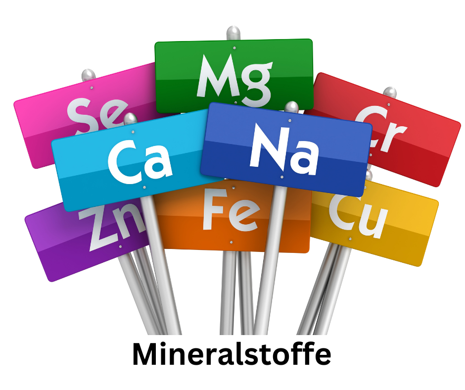 Die Mineralstoffe 