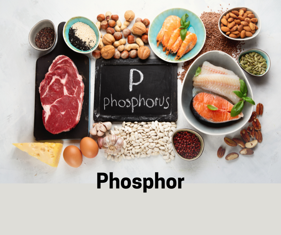Lebensmittel reich an Phosphor.