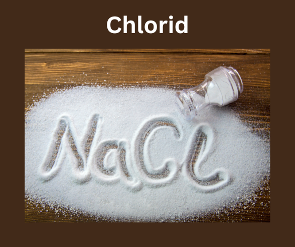 Chlorid. NaCl in Streusalz geschrieben.