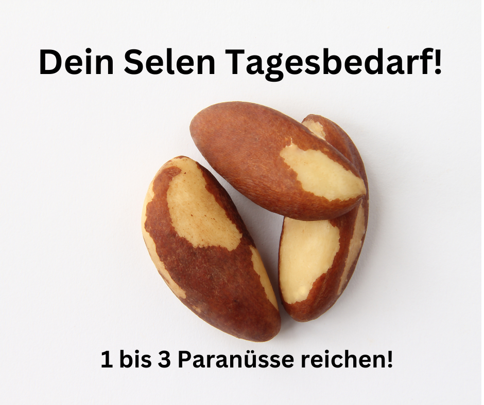 Schriftzug: Dein Selen Tagesbedarf, 1 bis 3 Paranüsse reichen. Zeigen 3 Paranüsse.