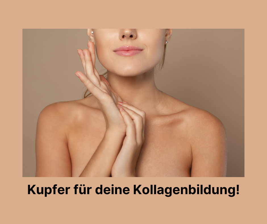 Kupfer für Kollagenbildung
