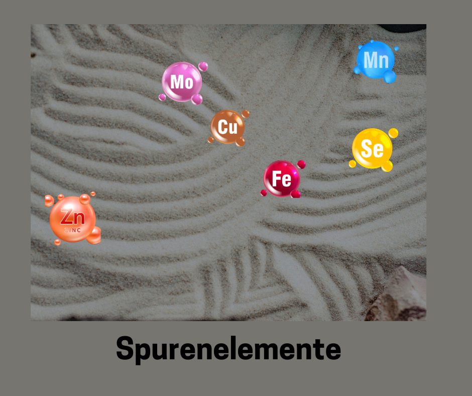 Jedes Einzelne Spurenelement bei den Spurenelemente