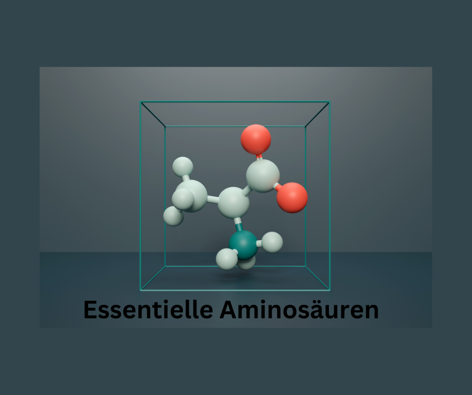 Essentielle Aminosäuren Kette