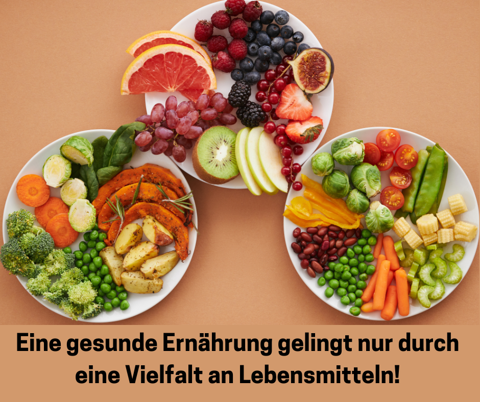 Drei Tellern mit verschiedene Gemüse und Obst Sorten. Schriftzug: Eine gesunde Ernährung gelingt nur durch eine Vielfacht an Lebensmitteln.