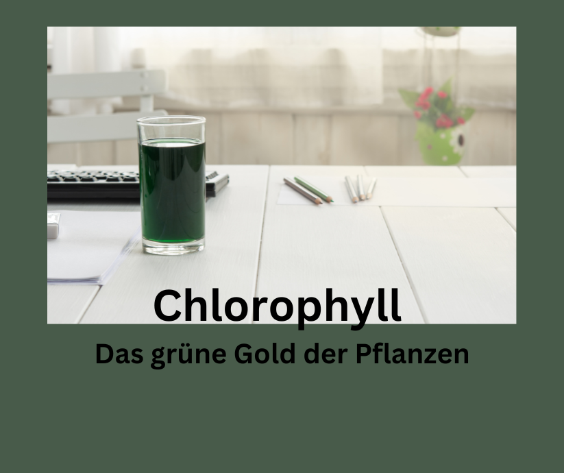 Zeigt ein Glas mit grüner Inhalt. Schriftzug: Chlorophyll – Das grüne Gold der Pflanzen.
