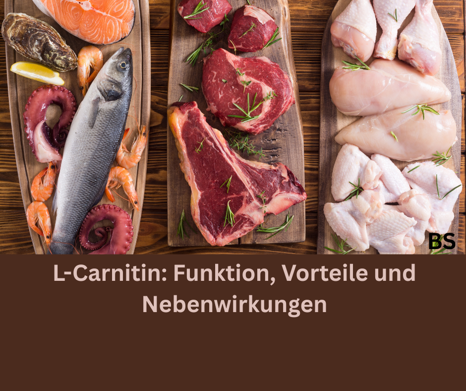 Fisch, Rotes Fleisch und Geflügel. Schriftzug: L-Carnitin, Funktion, Vorteile und Nebenwirkung.