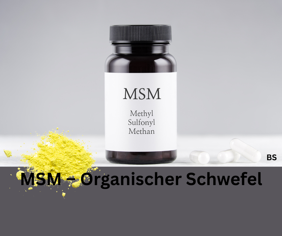 MSM – Organischer Schwefel Kapseln im Glas.