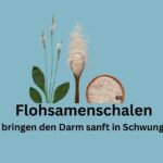 Flohsamenschalen. Schriftzug: Flohsamenschalen bringen den Darm sanft in Schwung.